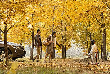 Steam《警察模拟器：巡警》“特别好评”：有沉浸感